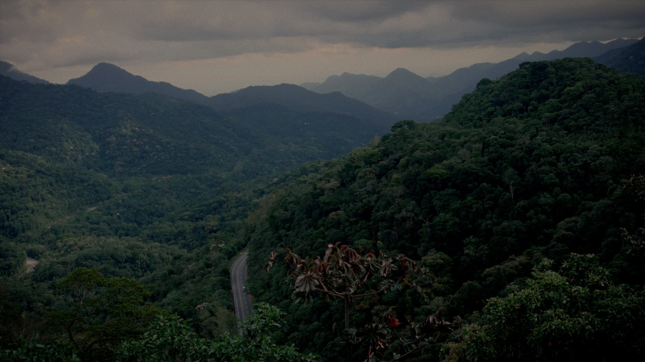 Território de criação · Nova Friburgo